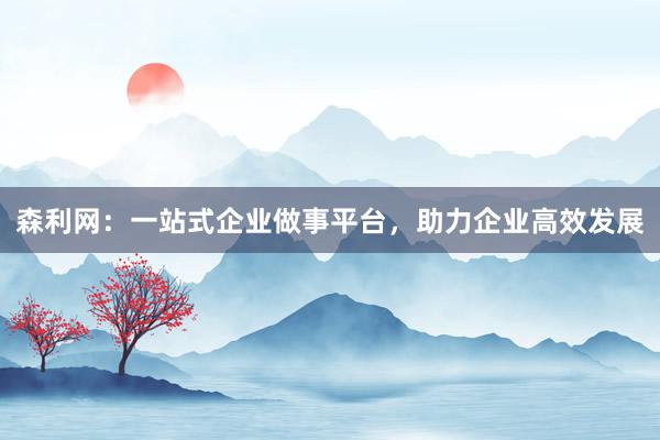 森利网：一站式企业做事平台，助力企业高效发展