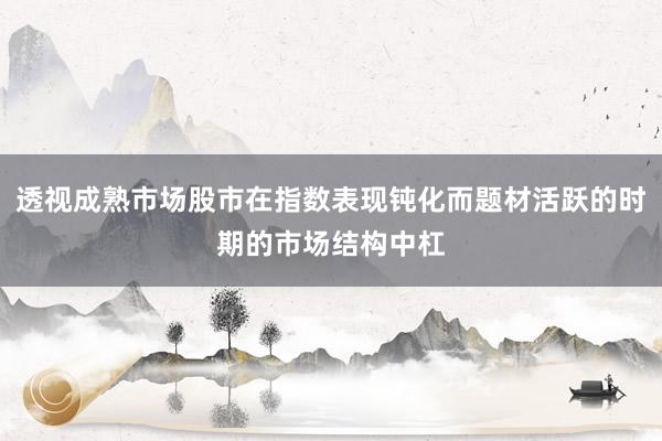 透视成熟市场股市在指数表现钝化而题材活跃的时期的市场结构中杠