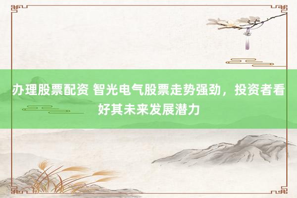 办理股票配资 智光电气股票走势强劲，投资者看好其未来发展潜力