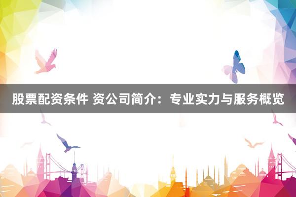股票配资条件 资公司简介：专业实力与服务概览