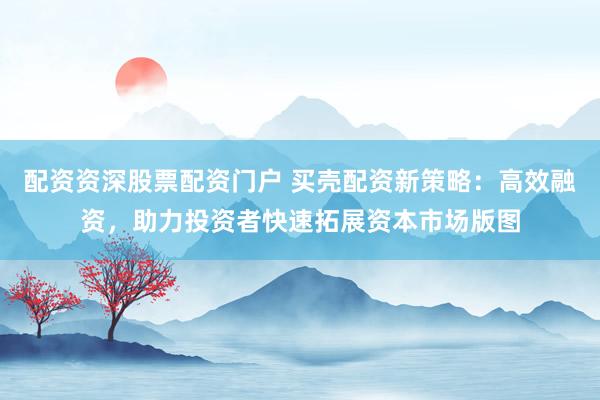 配资资深股票配资门户 买壳配资新策略：高效融资，助力投资者快速拓展资本市场版图